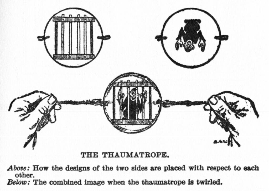 thaumatrope persistance rétinienne